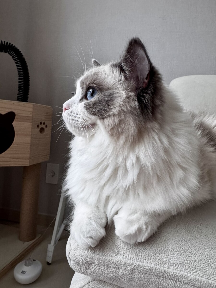 록희의 외출!_8.jpg