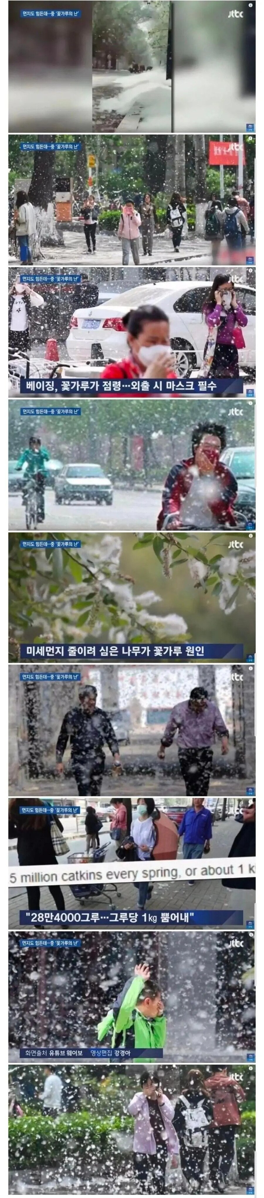 미세먼지 줄이려고 나무 심었던 중국 근황.jpg_1.jpg