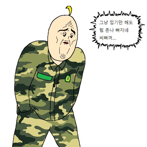 의외로 한국군 예비군 강점인 것_1.png
