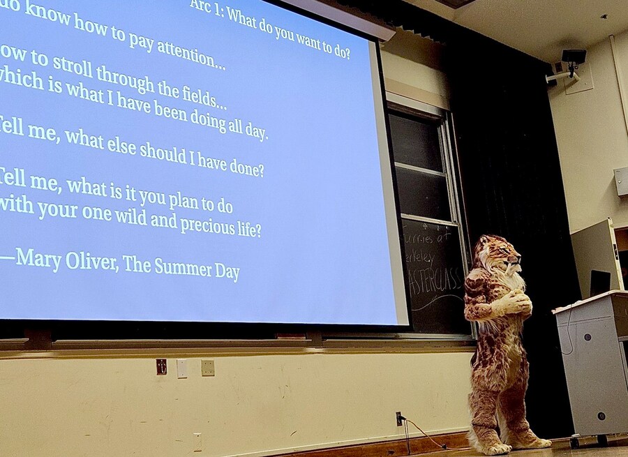 미국 스탠포드대의 수상한 근황.furry_5.png