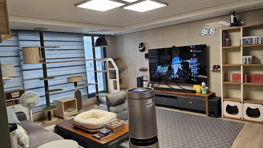 신입 초보집사 부부가 인사를 올립니다~ ( 아깽이 , 러시안블루 )_2.jpg