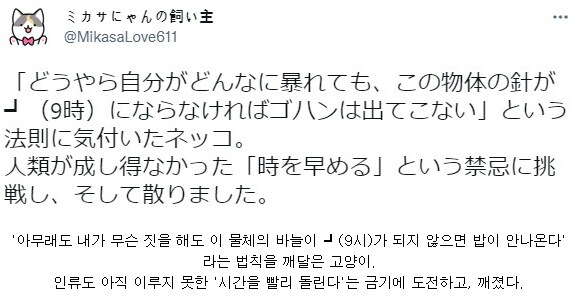 고양이 중에서 굉장히 똑똑한 경우.gif_1.png