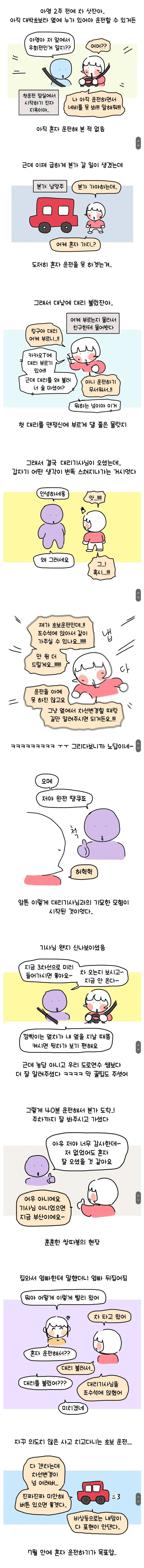 초보운전자가 대낮에 맨정신으로 대리운전 부른 썰_1.png