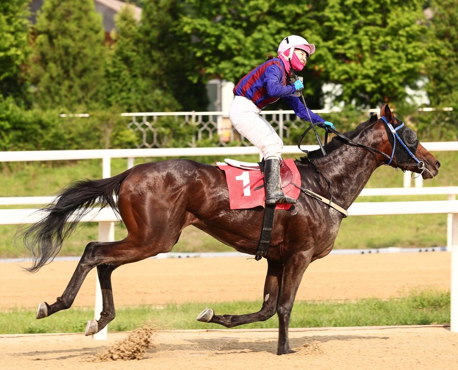 [경마] 한국 경주마들의 두바이 성적_5.jpg