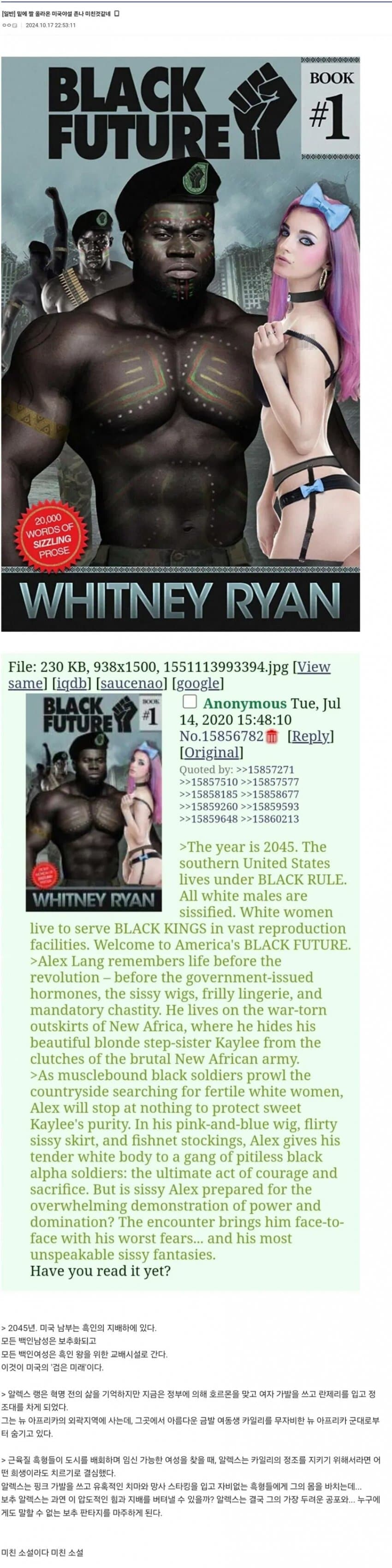 미국의 정신나간 야설 설정_1.jpg