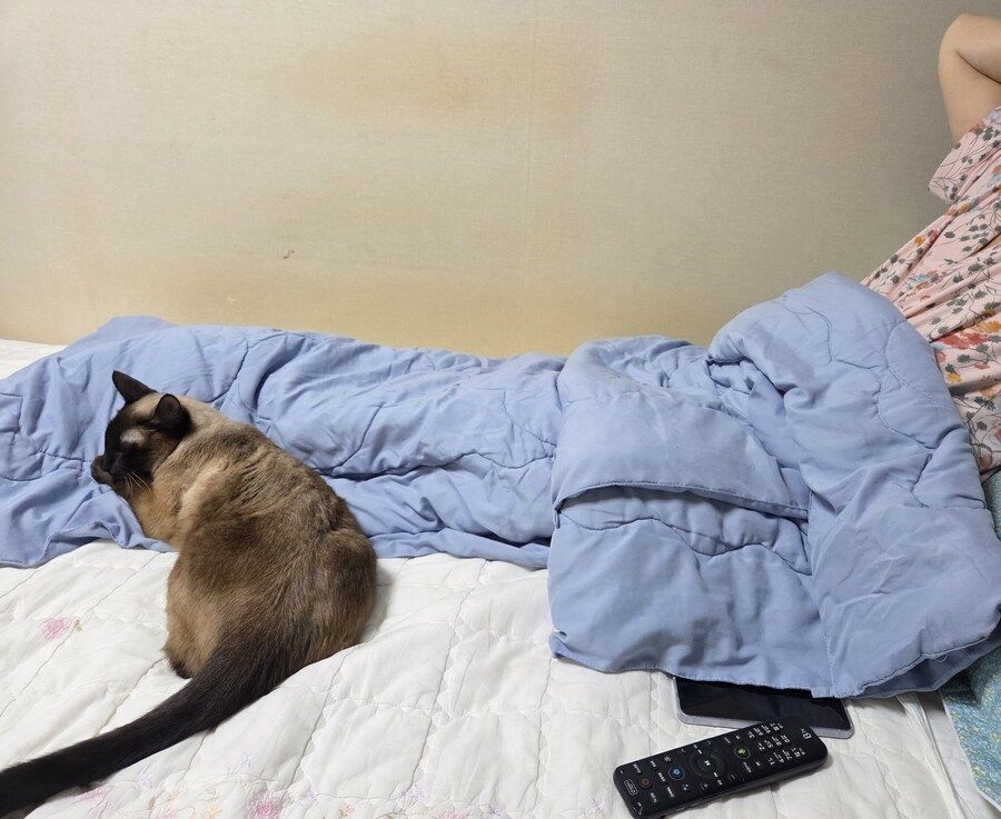 오해하지마 집사! 난 배신하지 않았어~~_2.jpg