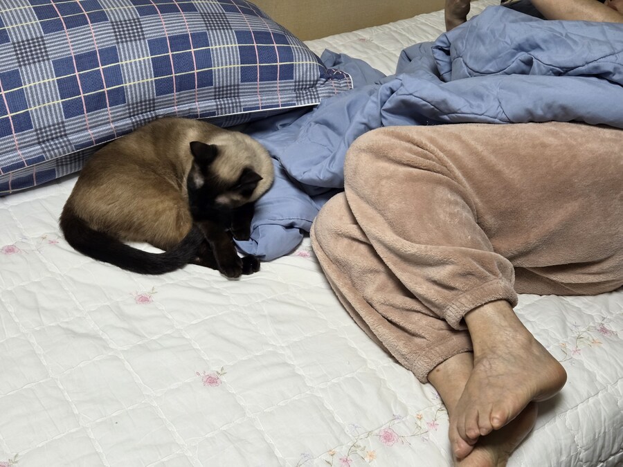 오해하지마 집사! 난 배신하지 않았어~~_4.jpg