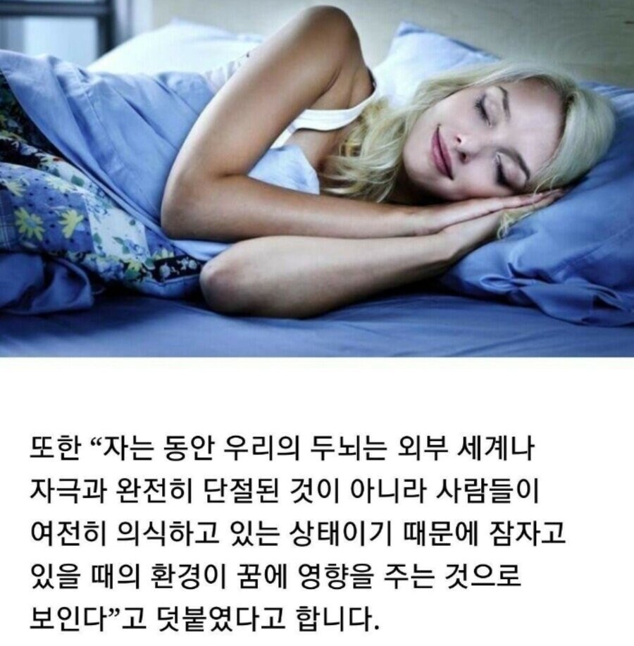 많은 전문가들이 연구한 야한 꿈 꾸는 방법_5.jpg