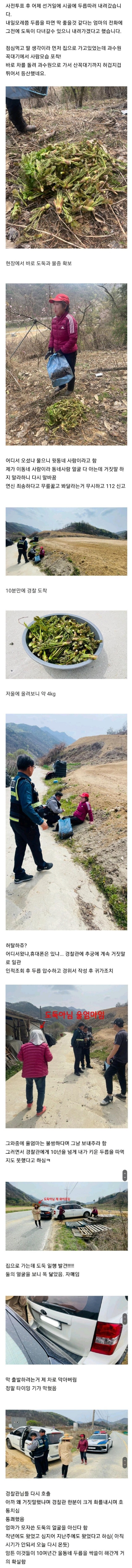 한국 봄에만 나타나는 도둑_1.jpg