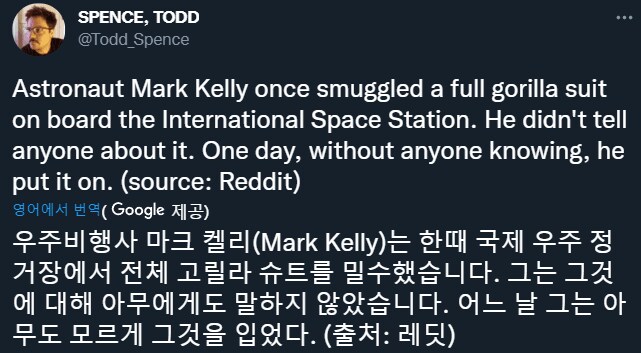 다람이 : 으악! 진짜 고릴라다!!_1.png
