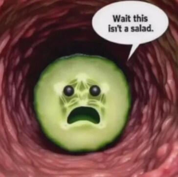 잠깐? 여긴 샐러드가 아니잖아?!_1.png
