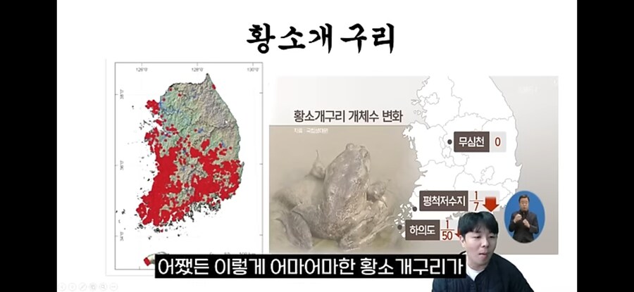 생태계 교란종 황소개구리 근황.jpg_5.jpg