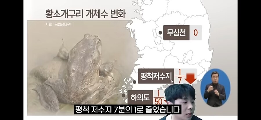 생태계 교란종 황소개구리 근황.jpg_6.jpg