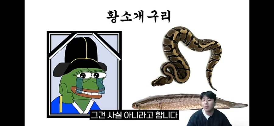 생태계 교란종 황소개구리 근황.jpg_13.jpg
