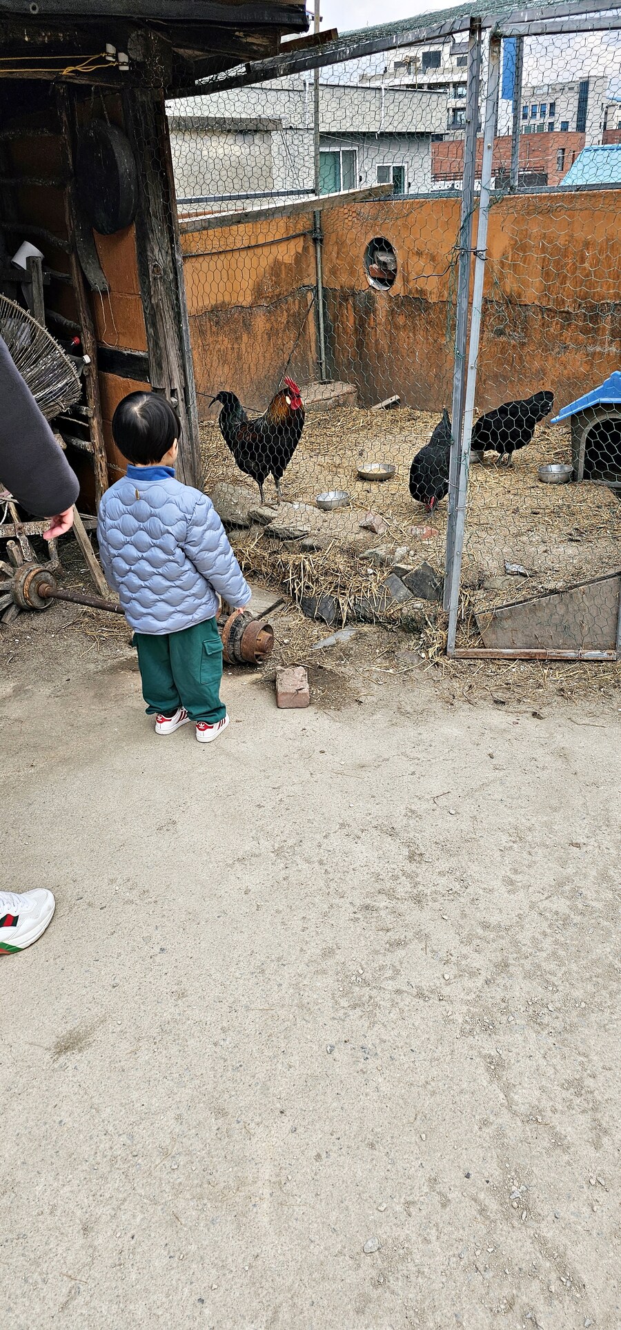 여행 다녀왔습니다 - 전북 전주_17.jpg