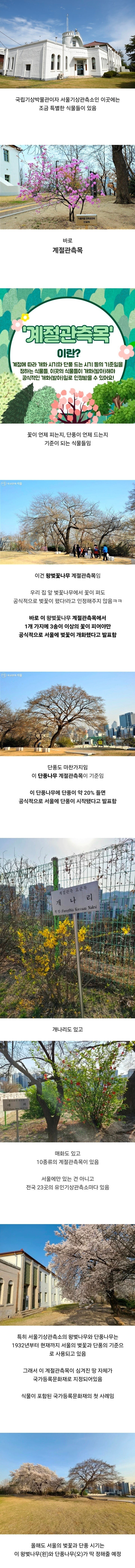 서울기상관측소에 있다는 특이한 식물_1.png