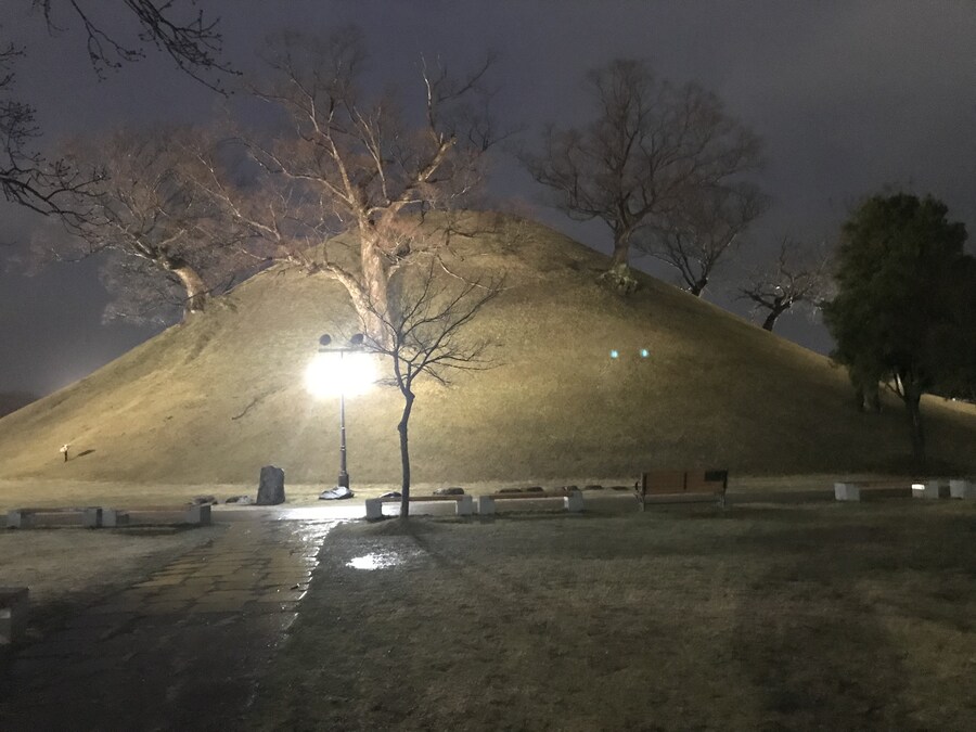 경주) 야밤의 왕릉은 기분이 묘하구나_2.jpg