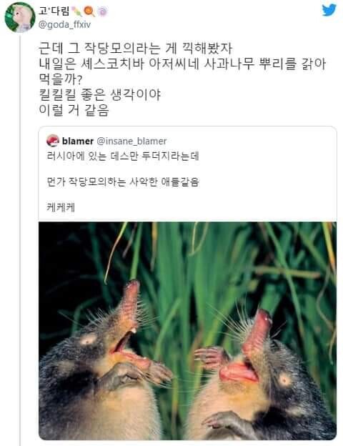 작당모의 하는 두더지_1.jpg