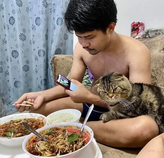 고양이에게 남편을 빼앗긴것 같다는 아내가 찍은 사진_4.jpg