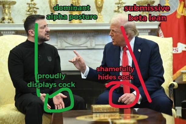 트위터에서 심층 분석한 젤렌스키 vs 트럼프 회담 승자_1.jpg