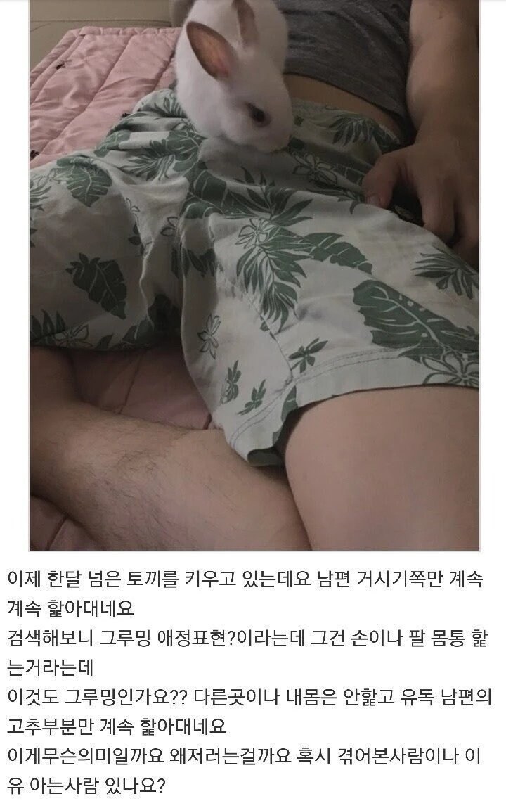 19) 토끼가 남편 고추 부분을 심하게 핥아요.jpg_2.jpg