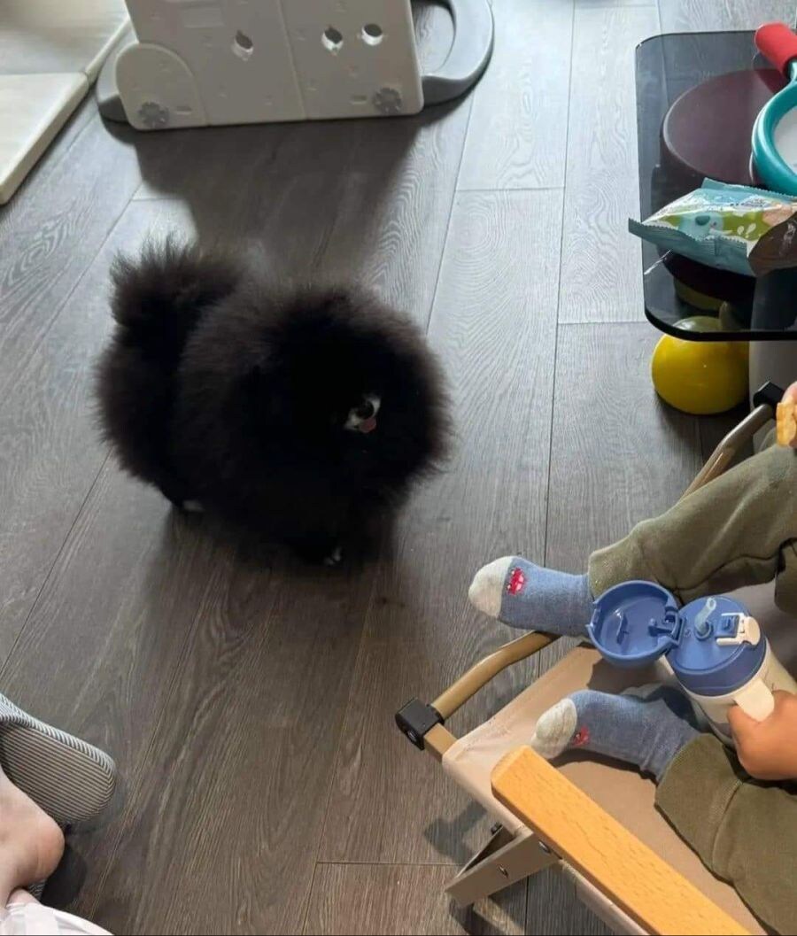 충격적인 외눈박이 괴물의 정체_2.jpg