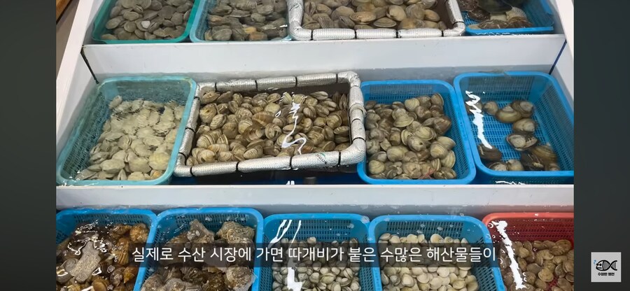 약혐주의)따개비 관련 많이 오해한다는 사실_33.png