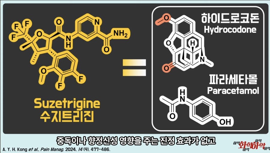 20년만에 새로 나온 진통제가 주목받는 이유_6.jpg