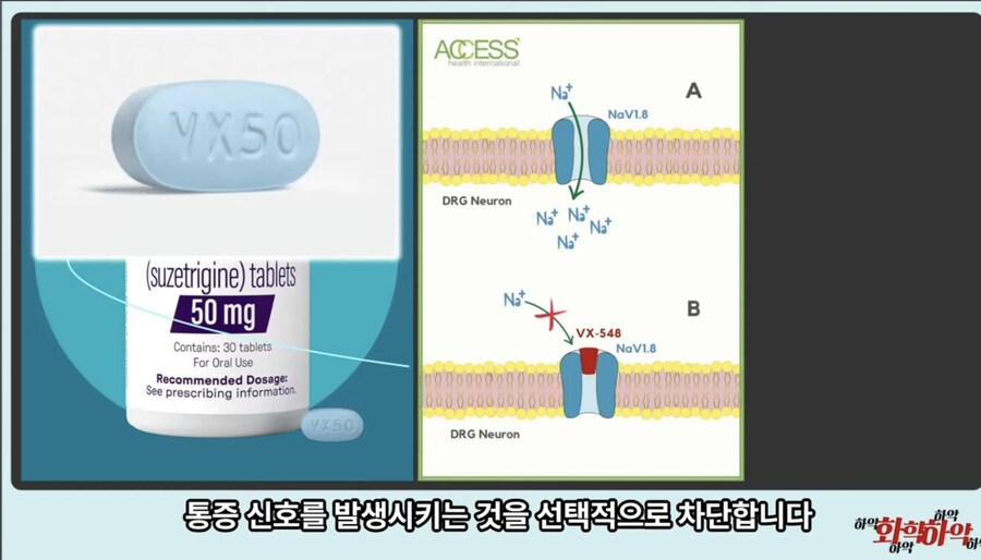 20년만에 새로 나온 진통제가 주목받는 이유_13.jpg