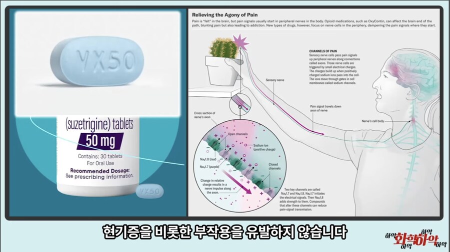 20년만에 새로 나온 진통제가 주목받는 이유_17.jpg