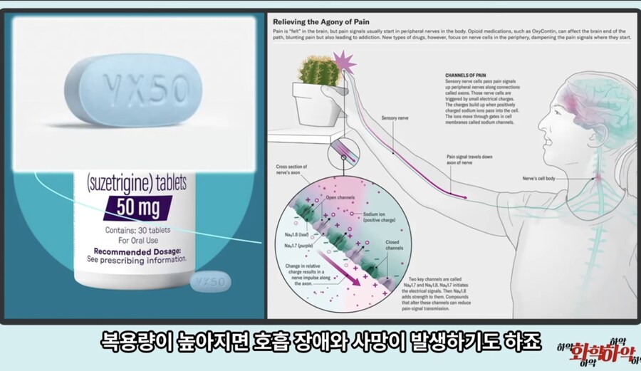 20년만에 새로 나온 진통제가 주목받는 이유_22.jpg