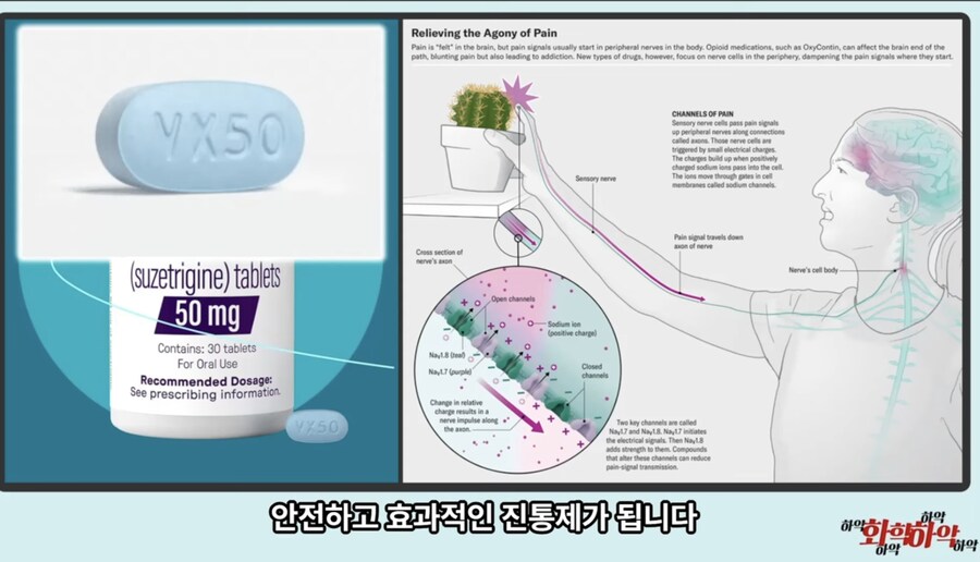 20년만에 새로 나온 진통제가 주목받는 이유_25.jpg