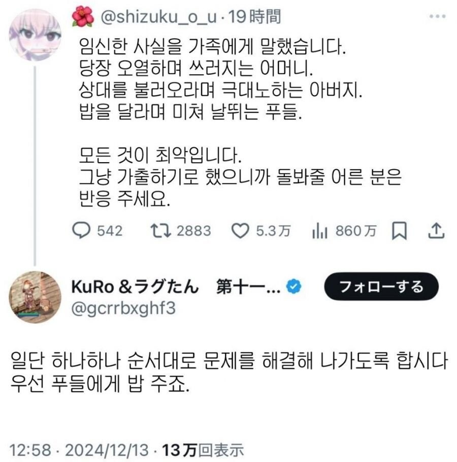 임신 고백후 난리난 가족의 해결법?_1.png