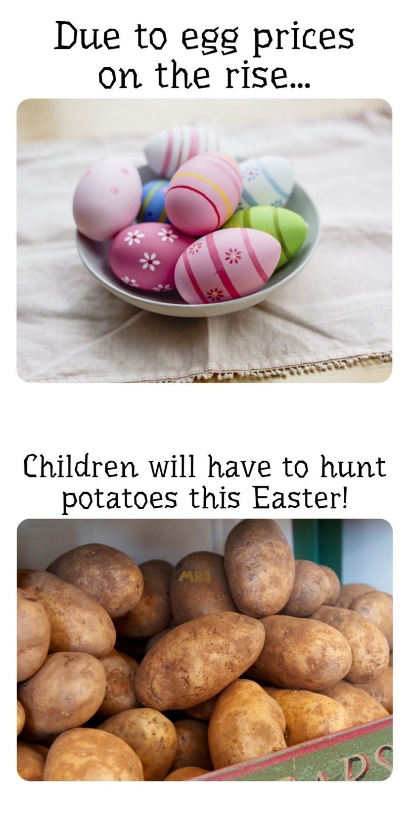 계란 파동 겪은 미국인들 반응.jpg_7.jpg