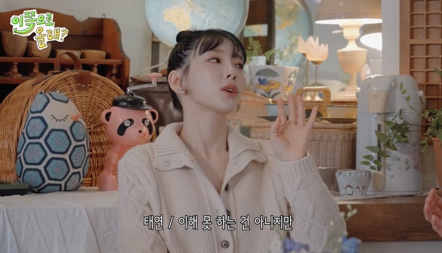 태연이 음악방송 활동 안하는 이유_7.jpg