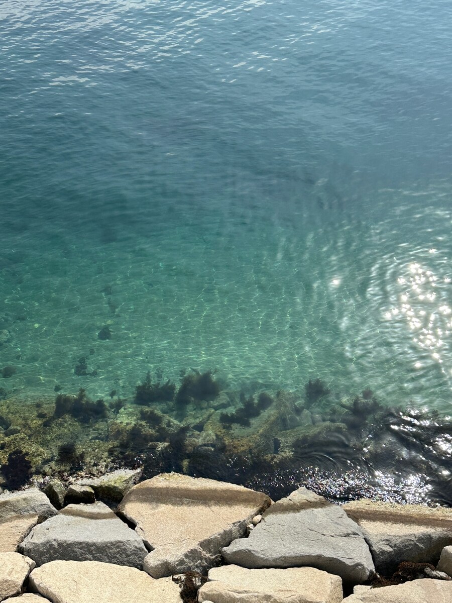 (스압) 강릉에서 1박2일동안 돼지파티하고 왔습니다._33.jpg