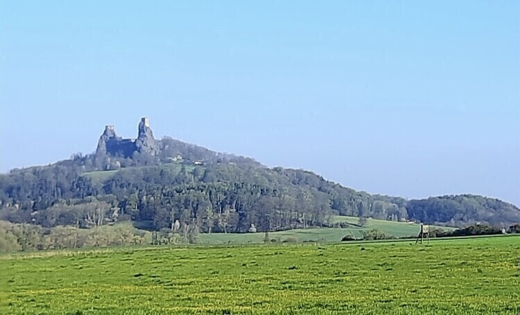 최근 게임때문에 갑자기 방문객이 늘어나고 있다는 시골 깡촌_2.jpg