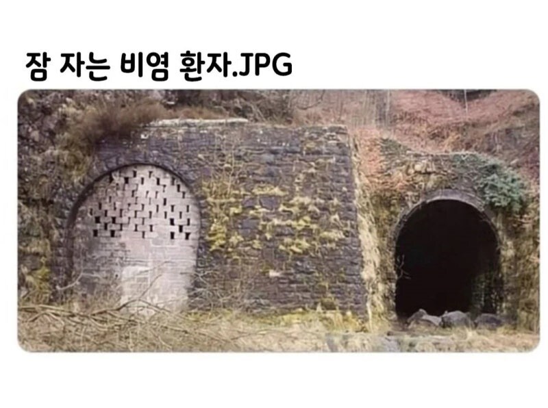 비염 환자는 한번에 이해하는 짤_1.jpg
