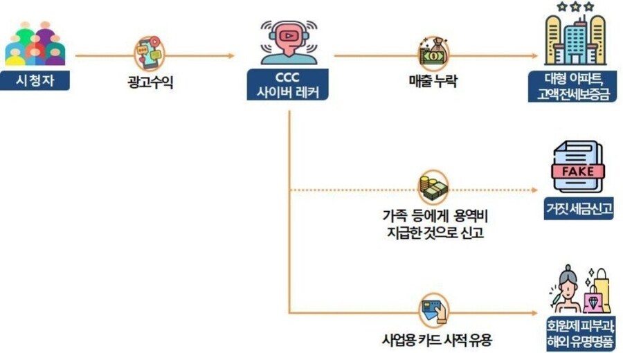 국세청, 엑셀방송·사이버렉카 BJ에 칼 뽑았다…세무조사 착수_3.jpg