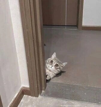 퇴근후 즐거움이 100배_1.jpg