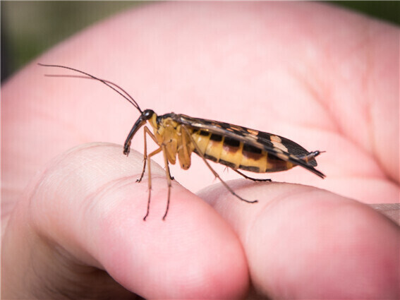 뿔달린 말 빼고 이상한 놈들은 다 있는 세계선_19.jpg