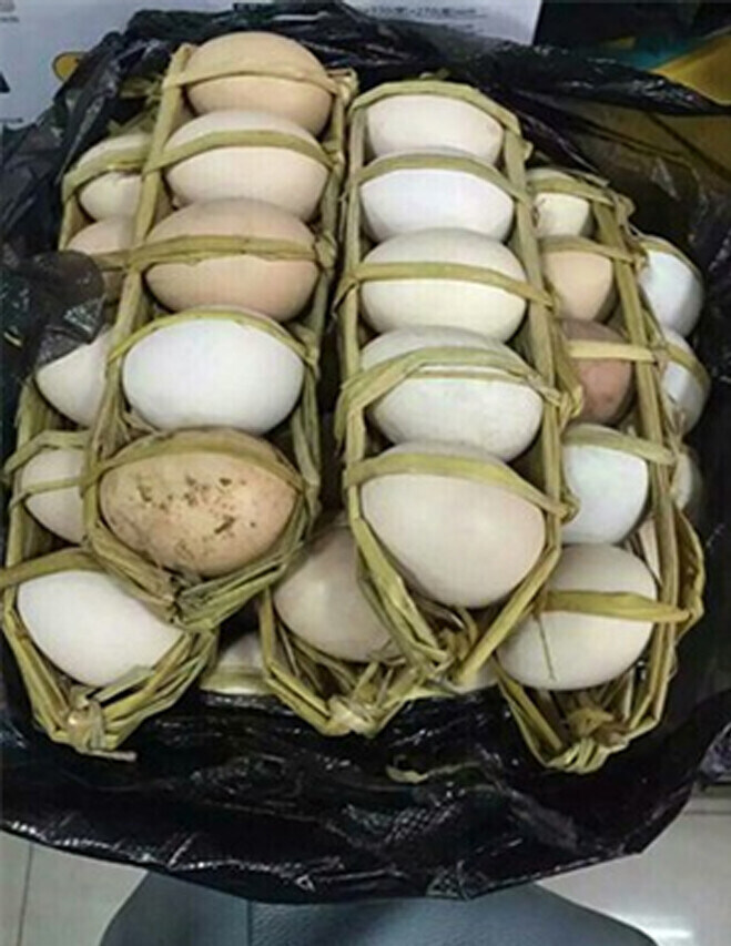 탈북민들이 꼭 한번씩 배탈을 겪는다는 이유_1.jpg