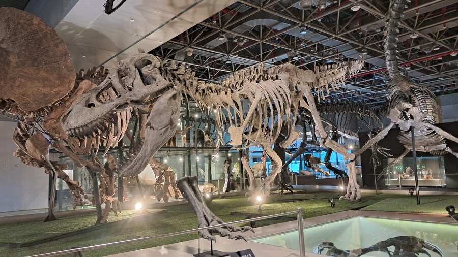 당일치기 대전 성심당 / 부모님 생신 파티_26.jpg