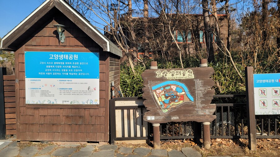 1월 장월평천, 파주출판단지 유수지 탐조_1.jpg