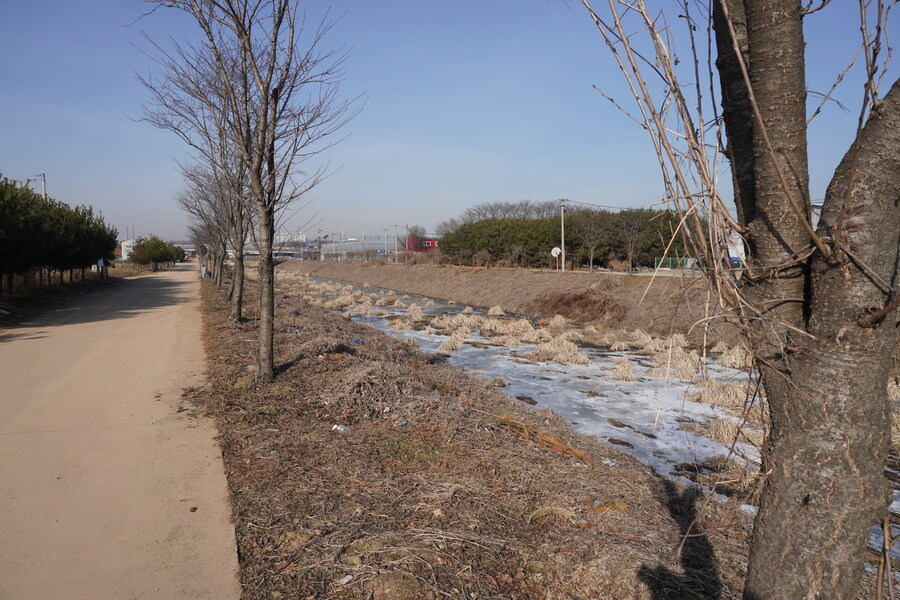 1월 장월평천, 파주출판단지 유수지 탐조_17.jpg