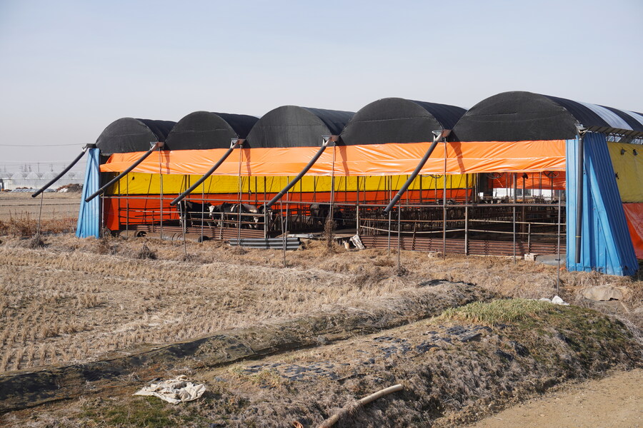 1월 장월평천, 파주출판단지 유수지 탐조_37.jpg