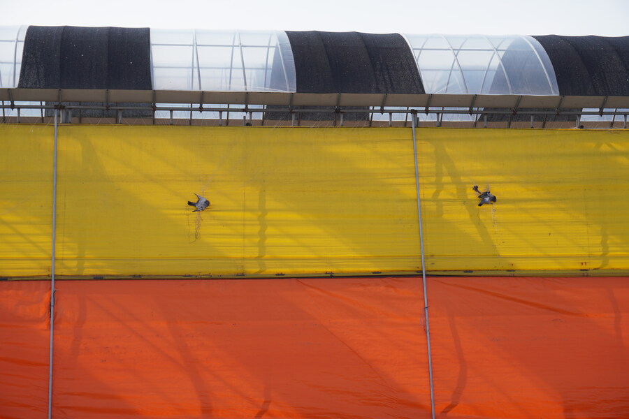 1월 장월평천, 파주출판단지 유수지 탐조_39.jpg