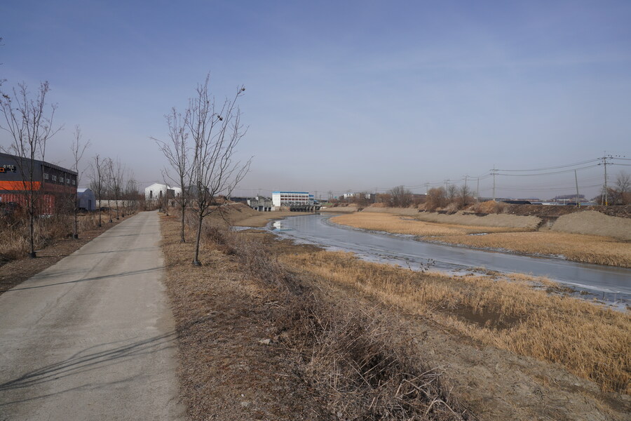 1월 장월평천, 파주출판단지 유수지 탐조_45.jpg