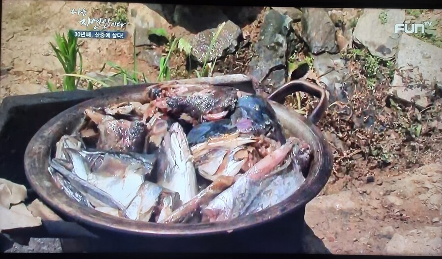 명작은 그 전개와 결말을 알고서도 다시 찾게 만든다_3.jpg