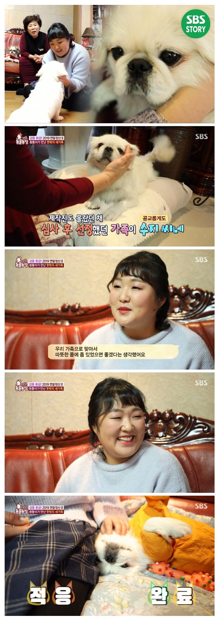 암 걸려서 더 이상 개 못 키운다...공중화장실에 개 묶어둔 할머니_2.jpg